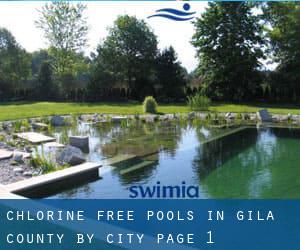 Chlorine Free Pools in Gila County by City - page 1