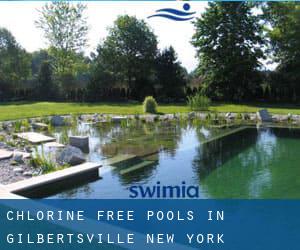 Chlorine Free Pools in Gilbertsville (New York)