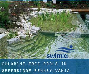 Chlorine Free Pools in Greenridge (Pennsylvania)