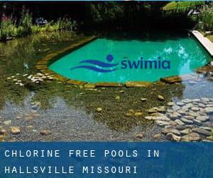 Chlorine Free Pools in Hallsville (Missouri)