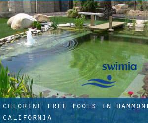 Chlorine Free Pools in Hammond (California)