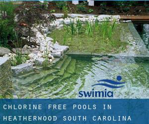 Chlorine Free Pools in Heatherwood (South Carolina)