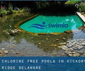 Chlorine Free Pools in Hickory Ridge (Delaware)