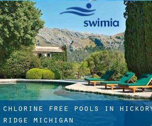 Chlorine Free Pools in Hickory Ridge (Michigan)