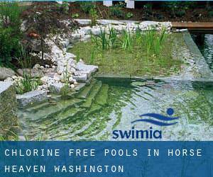 Chlorine Free Pools in Horse Heaven (Washington)