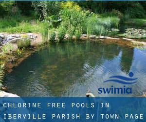 Chlorine Free Pools in Iberville Parish by Town - page 1