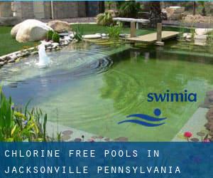 Chlorine Free Pools in Jacksonville (Pennsylvania)