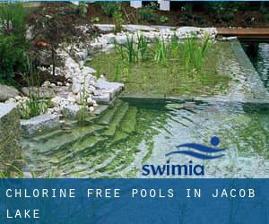 Chlorine Free Pools in Jacob Lake