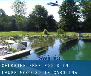 Chlorine Free Pools in Laurelwood (South Carolina)