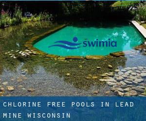 Chlorine Free Pools in Lead Mine (Wisconsin)