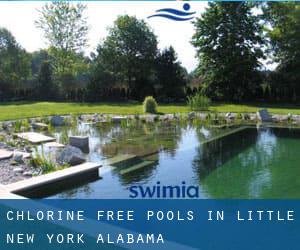 Chlorine Free Pools in Little New York (Alabama)