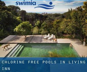 Chlorine Free Pools in Living Inn