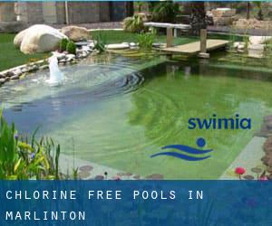 Chlorine Free Pools in Marlinton