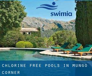 Chlorine Free Pools in Mungo Corner