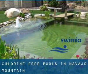 Chlorine Free Pools in Navajo Mountain