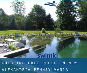 Chlorine Free Pools in New Alexandria (Pennsylvania)