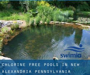 Chlorine Free Pools in New Alexandria (Pennsylvania)