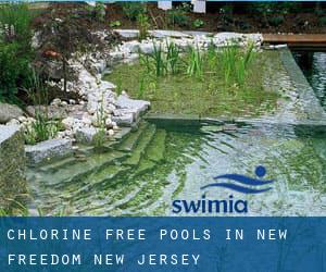 Chlorine Free Pools in New Freedom (New Jersey)