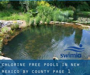 Chlorine Free Pools in New Mexico by County - page 1