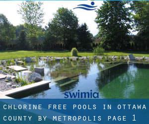 Chlorine Free Pools in Ottawa County by Metropolis - page 1