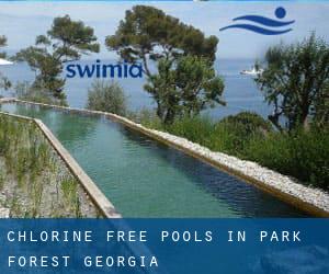 Chlorine Free Pools in Park Forest (Georgia)