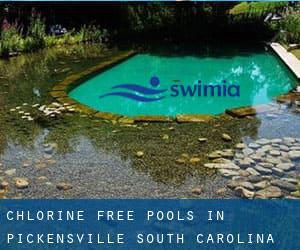 Chlorine Free Pools in Pickensville (South Carolina)