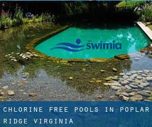 Chlorine Free Pools in Poplar Ridge (Virginia)