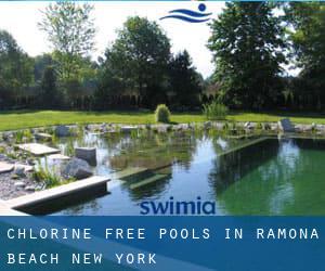 Chlorine Free Pools in Ramona Beach (New York)