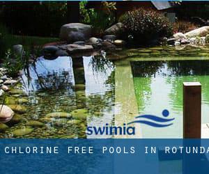 Chlorine Free Pools in Rotunda