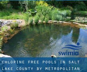 Chlorine Free Pools in Salt Lake County by Metropolitan Area - page 1