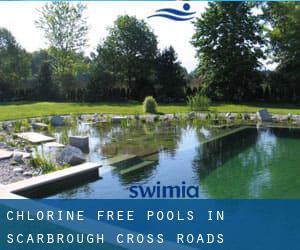 Chlorine Free Pools in Scarbrough Cross Roads