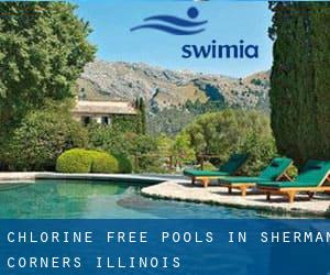 Chlorine Free Pools in Sherman Corners (Illinois)