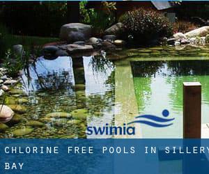 Chlorine Free Pools in Sillery Bay