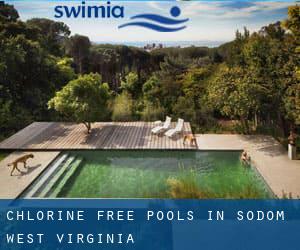 Chlorine Free Pools in Sodom (West Virginia)