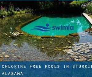 Chlorine Free Pools in Sturkie (Alabama)