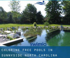 Chlorine Free Pools in Sunnyside (North Carolina)