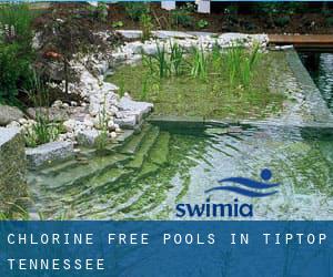 Chlorine Free Pools in Tiptop (Tennessee)