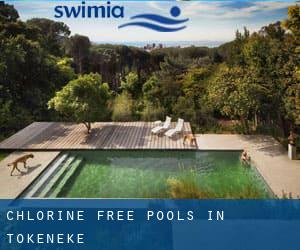 Chlorine Free Pools in Tokeneke