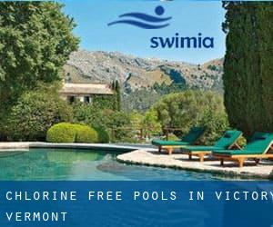 Chlorine Free Pools in Victory (Vermont)