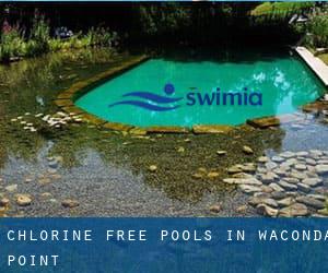 Chlorine Free Pools in Waconda Point