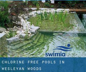 Chlorine Free Pools in Wesleyan Woods