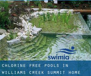 Chlorine Free Pools in Williams Creek Summit Home Area