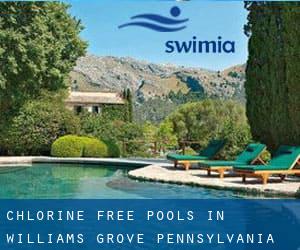 Chlorine Free Pools in Williams Grove (Pennsylvania)