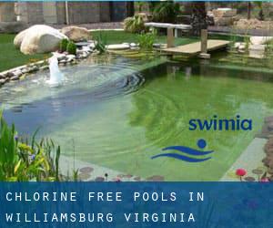 Chlorine Free Pools in Williamsburg (Virginia)