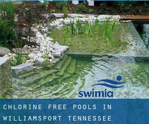 Chlorine Free Pools in Williamsport (Tennessee)