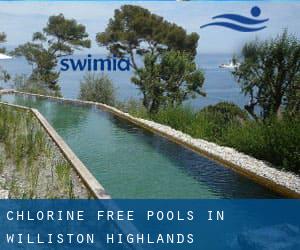 Chlorine Free Pools in Williston Highlands