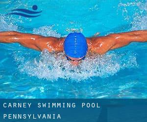 Carney Swimming Pool (Pennsylvania)