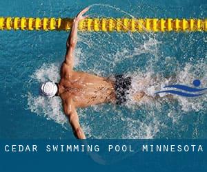 Cedar Swimming Pool (Minnesota)