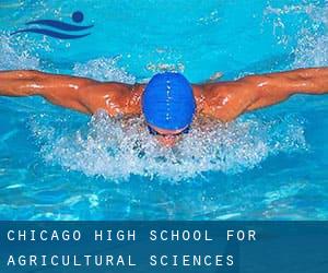 Chicago High School for Agricultural Sciences Community Center and Pool