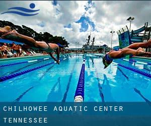 Chilhowee Aquatic Center (Tennessee)